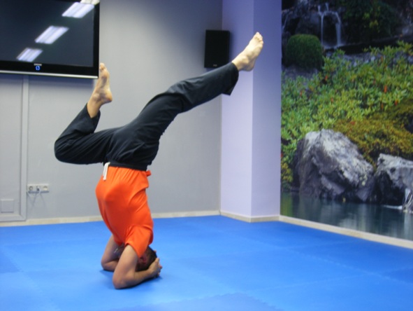 Yoga y Jiu-Jitsu Centro de Yoga Benarés